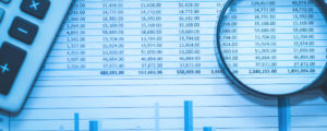 Investment Choices in the TSP